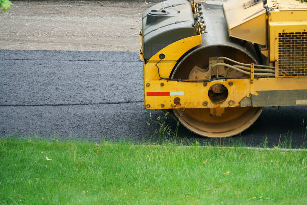 Best Local Driveway Pavers  in Bushnell, FL